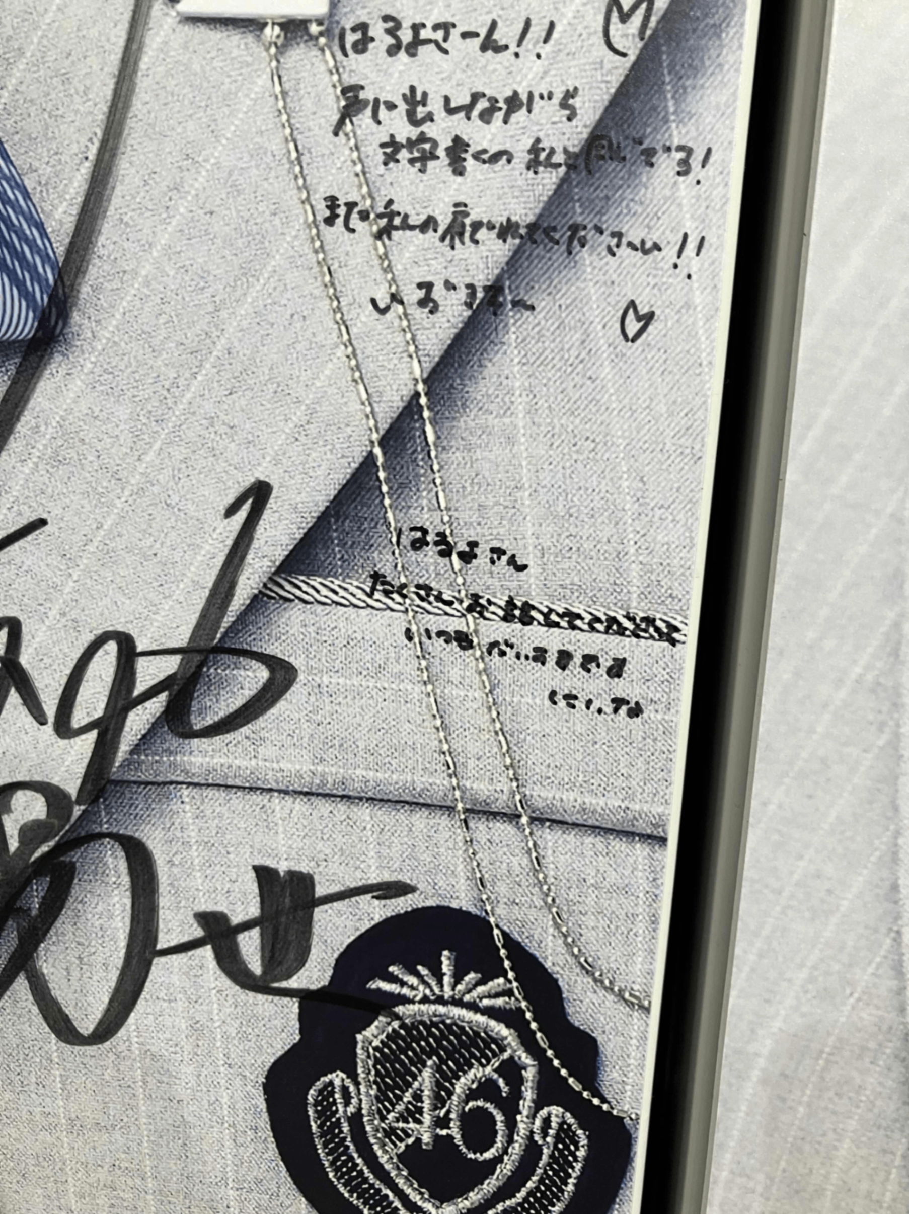 山口陽世のパネル 参考画像