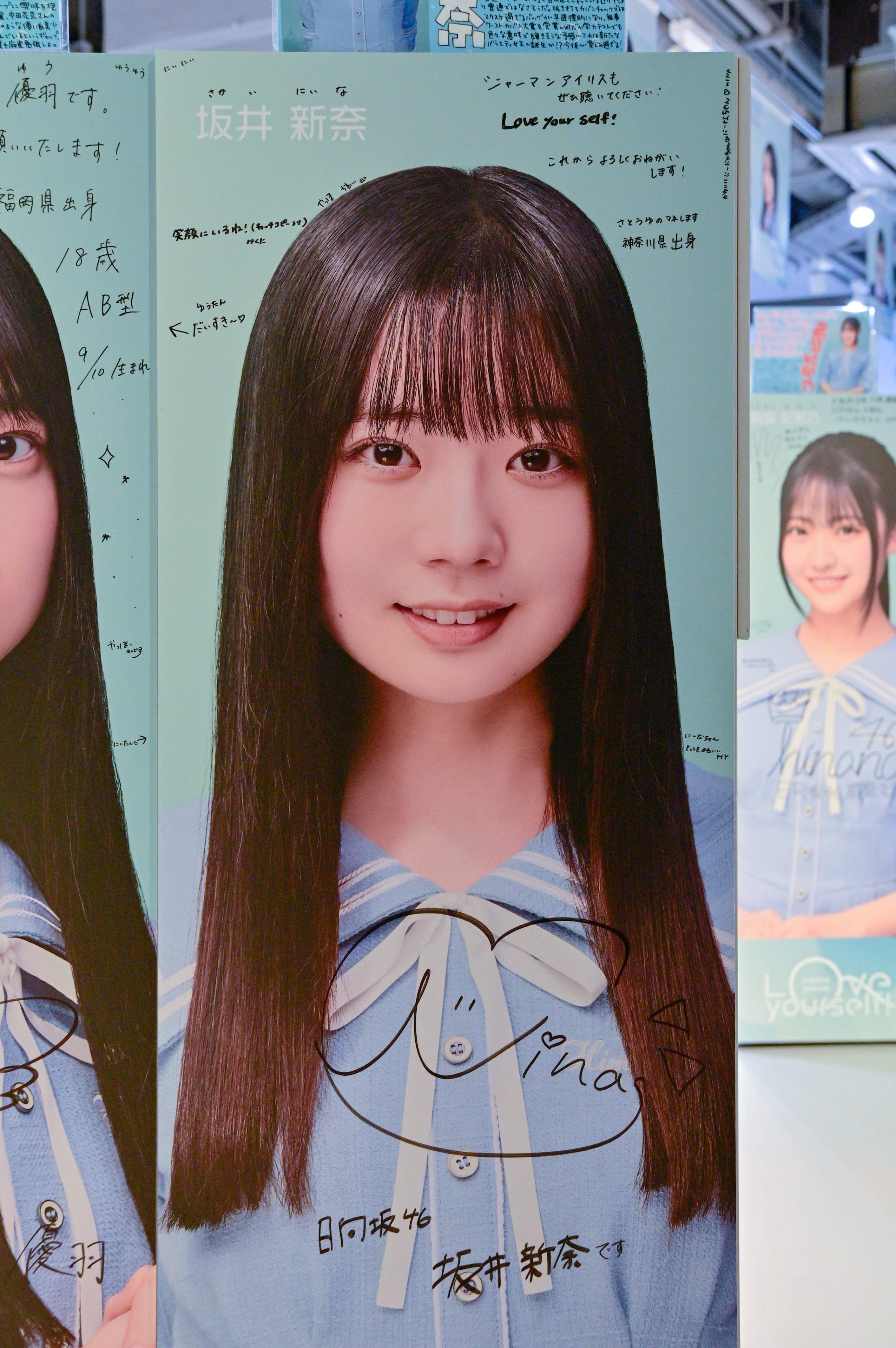 坂井新奈のパネル 参考画像