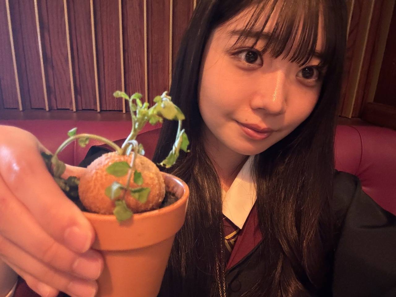 メイキング・オブ・ハリー・ポッター