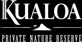 Jurassic Adventure Tour