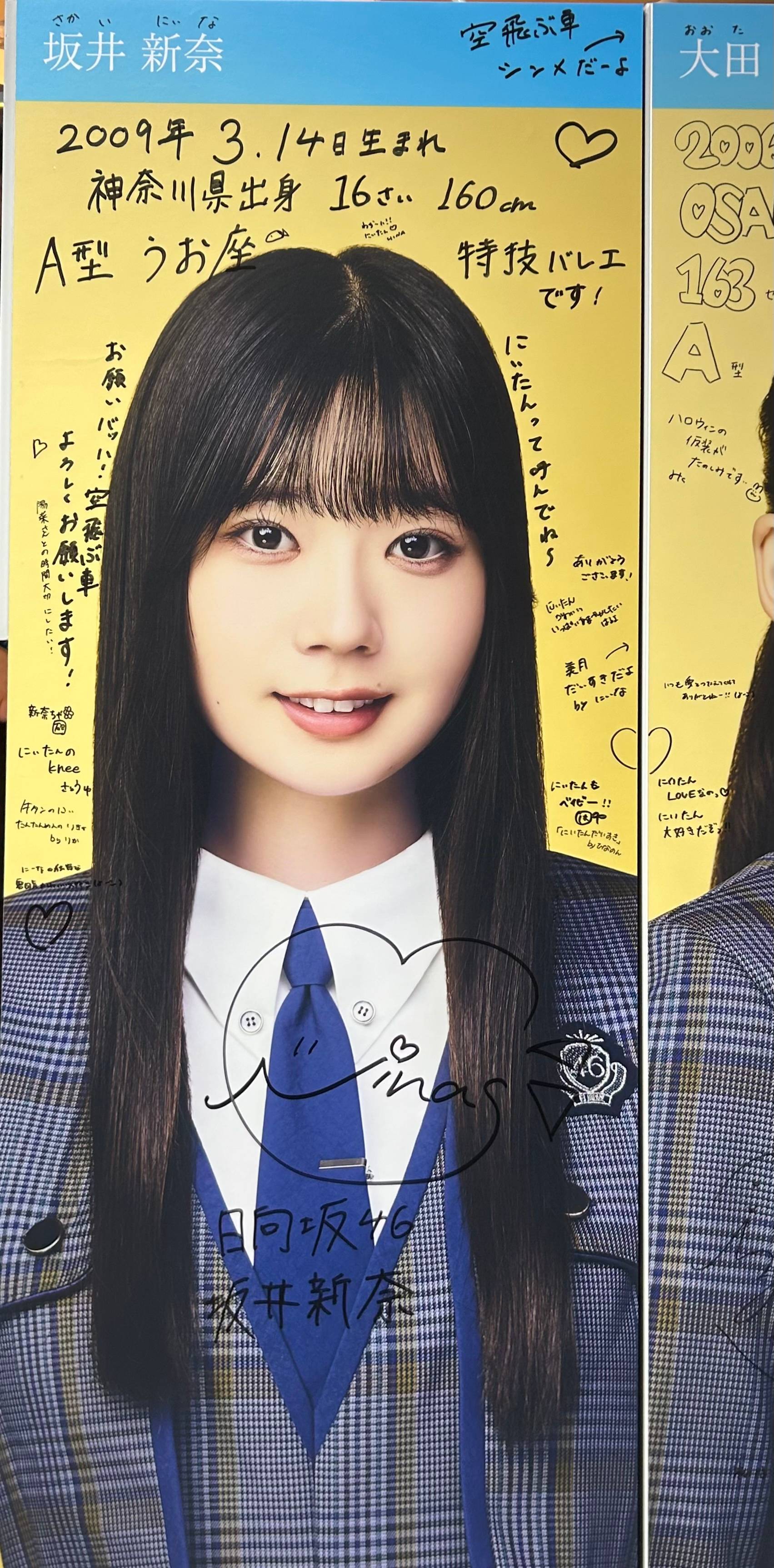 坂井新奈のパネル 参考画像