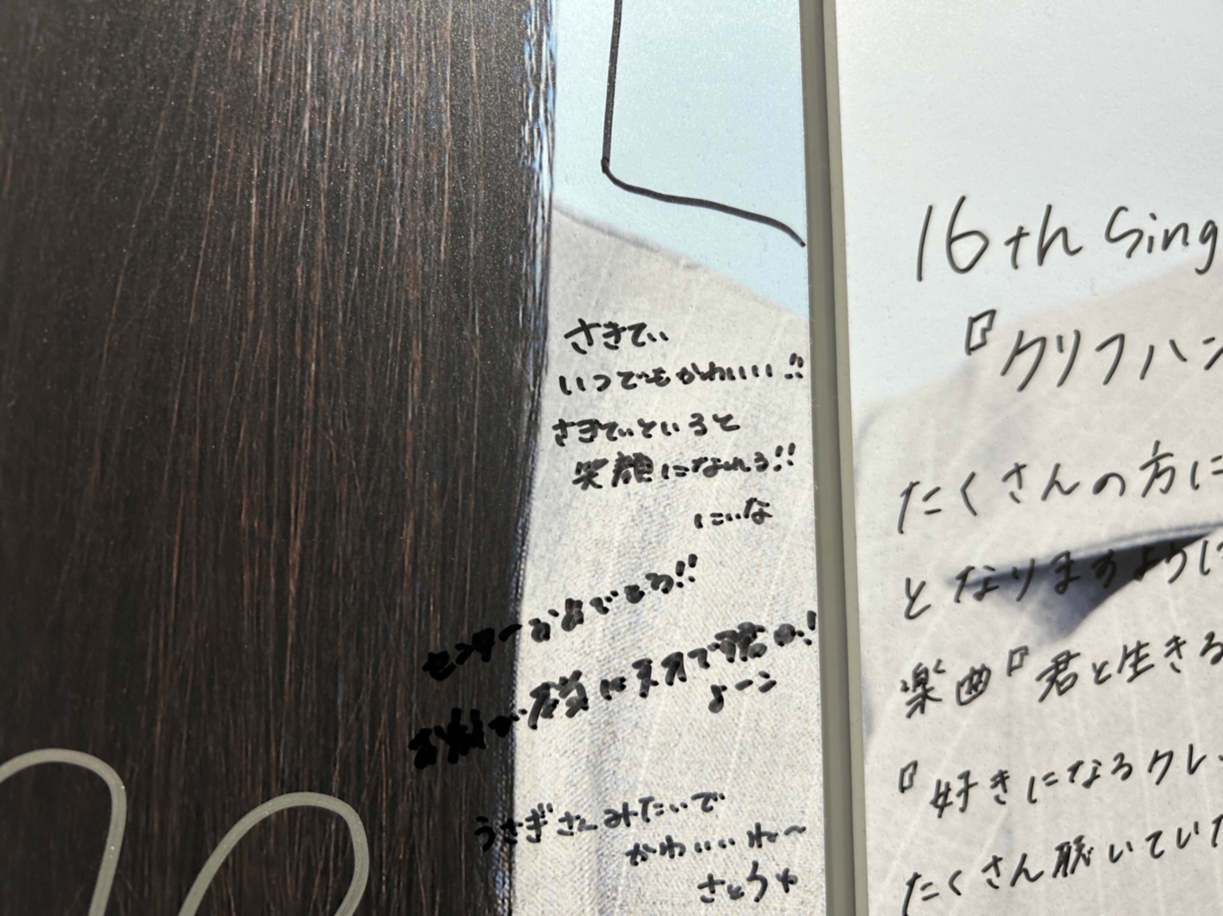 片山紗希のパネル 参考画像